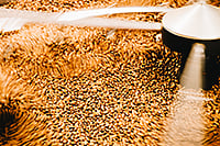 Decaf Demystified: How It’s Made and Why It Still Tastes Great