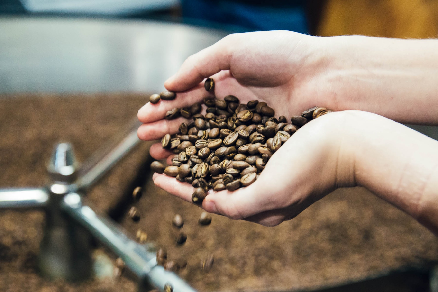 Roasting Finca Loma La Gloria - Crema Coffee Garage