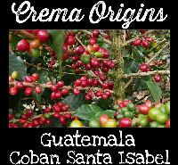 Guatemala Coban Finca Santa Isabel