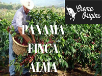 Panama Finca Alma Single Origin