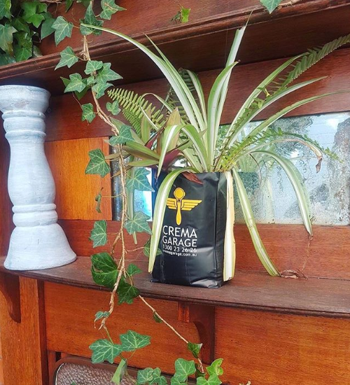 Plant Pot Coffee Bag Crema Coffee Garage