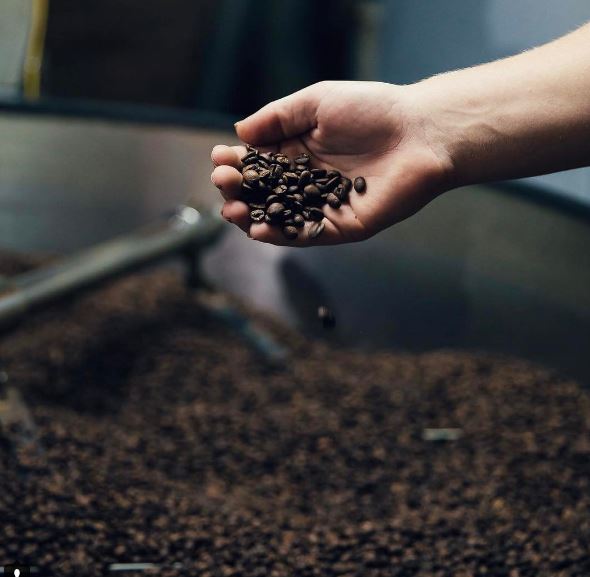 Coffee Beans Roasting, Roastery, Crema Coffee Garage