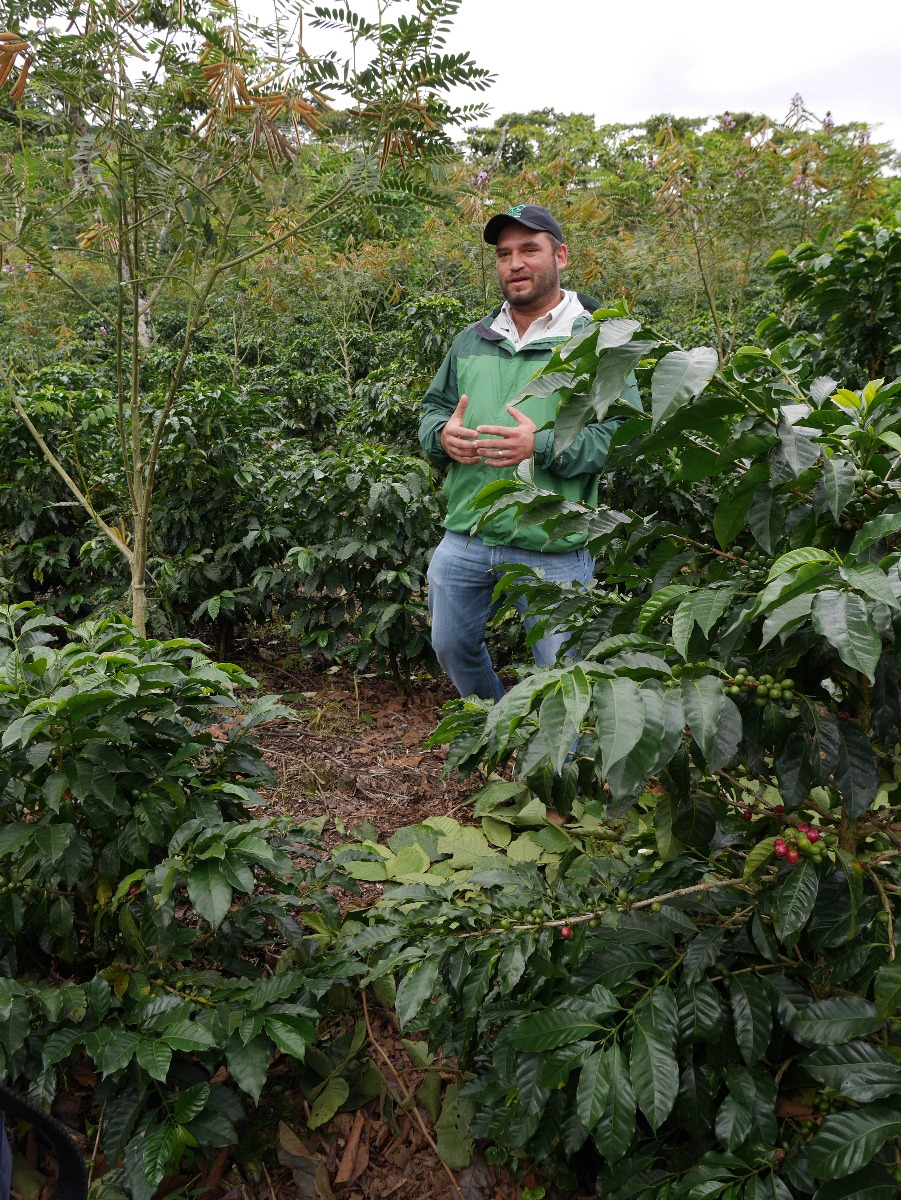 Guatemala Coban Finca Santa Isabel, Louis Valdes, Crema Origins