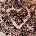 Coffee Origins Explained! Everything You Need To Know About Coffee Beans