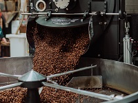 Best Coffee Beans Explained: Crafting The Perfect Coffee Starts With The Right Bean