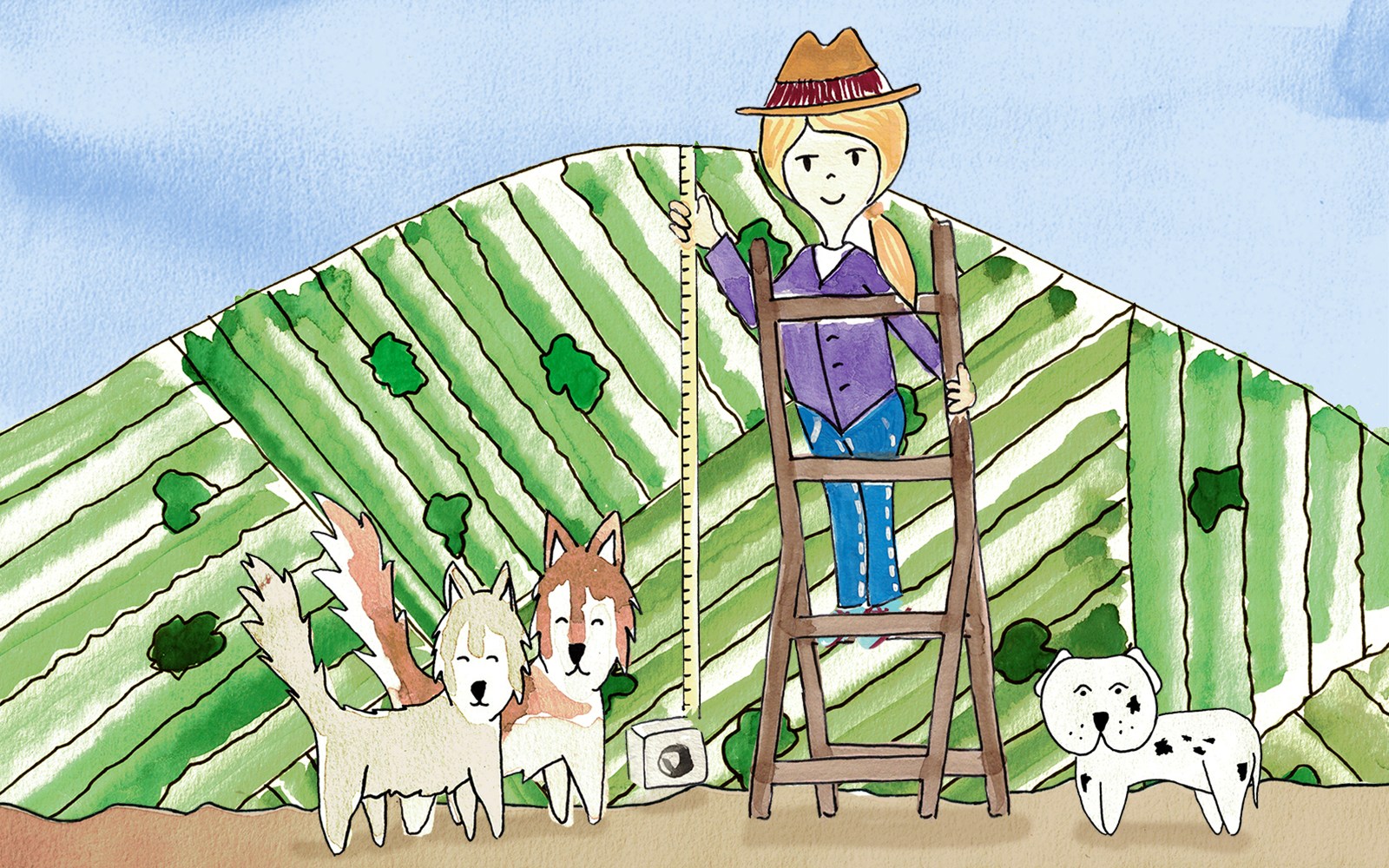 Animation off Loma La Gloria Website