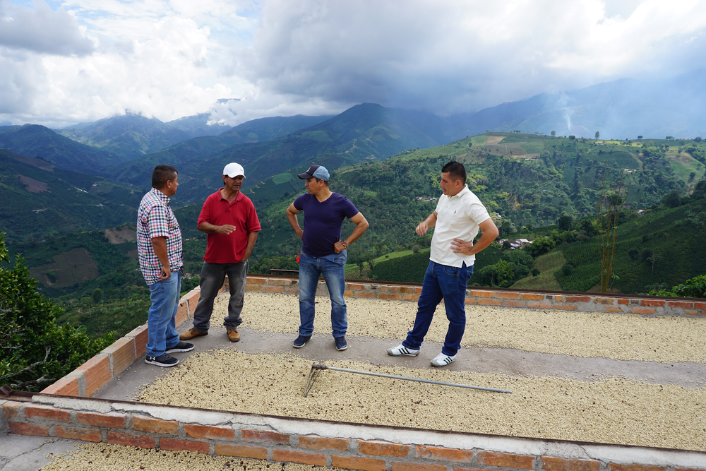 Colombian Producers Talking Over Green Beans, Raw Materials