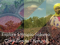 Crema Trekkers Explore Ethiopia Sidamo Chire Grade 1 Natural