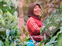 Crema Trekkers Explore Indonesia Blue Bianca