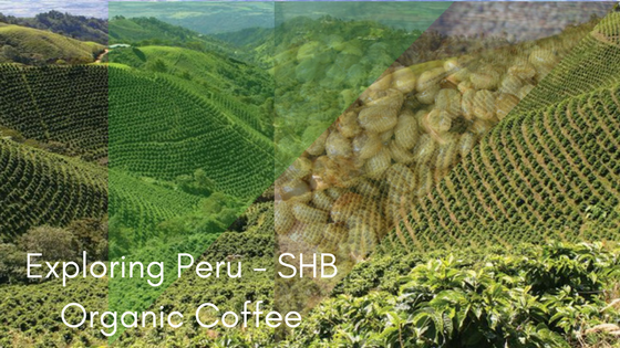 Crema Trekkers - Exploring Peru, SHB Organic Coffee