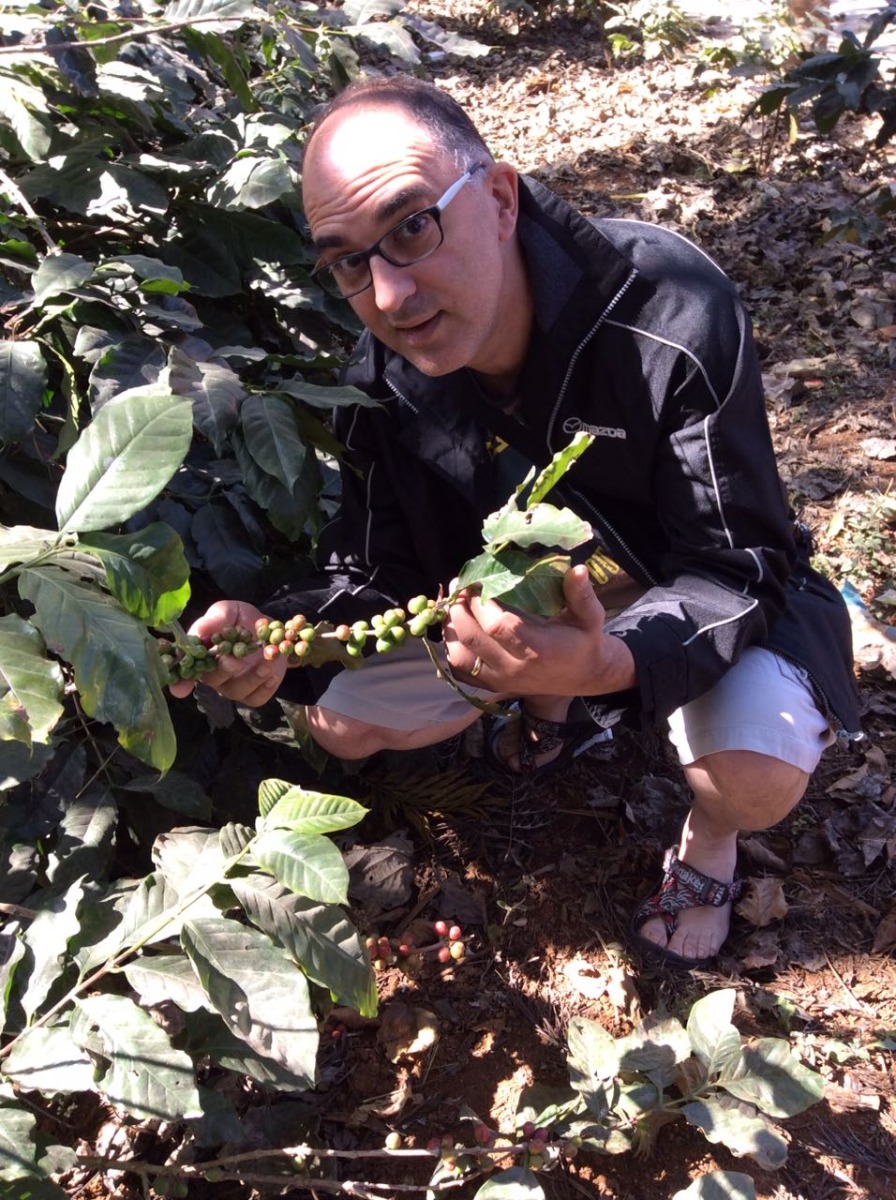 Sithar Coffee Co. Worker
