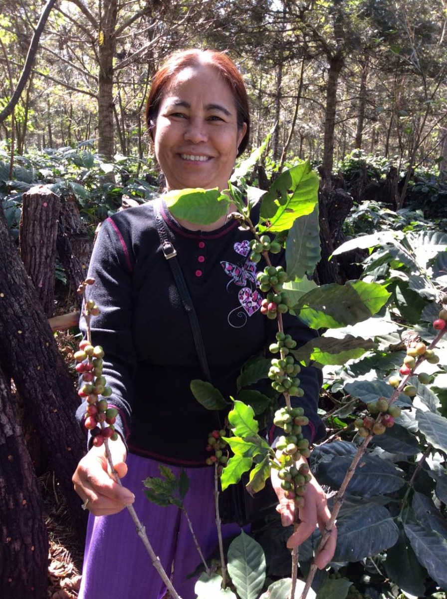 Sithar Coffee Co Worker