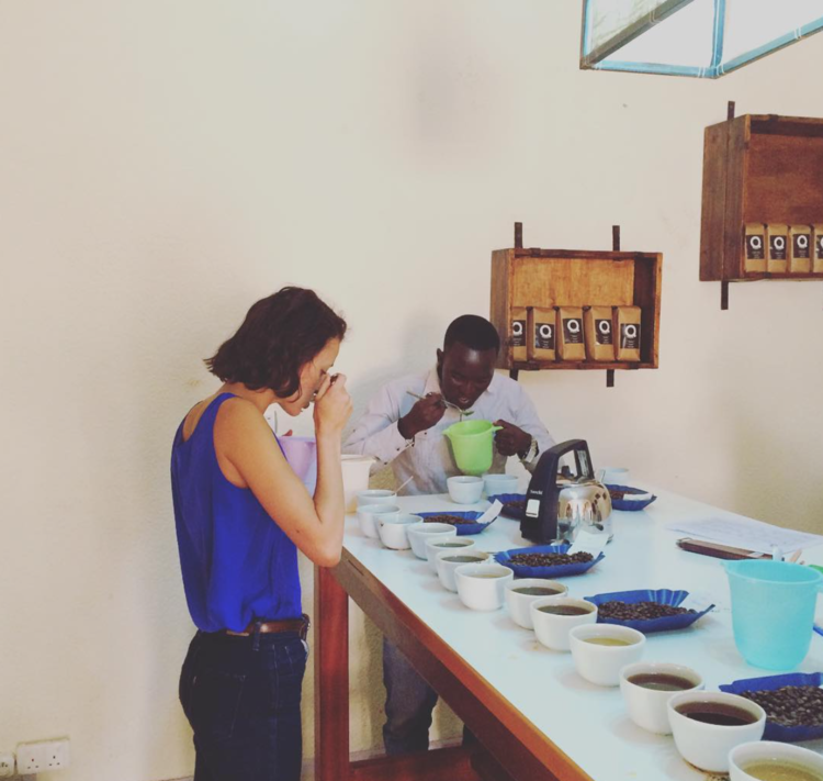 Rwanda Washing Station Cupping; image by Aleida Stone