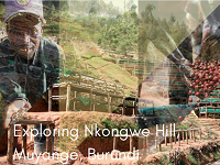 Burundi Coffee Single Origin