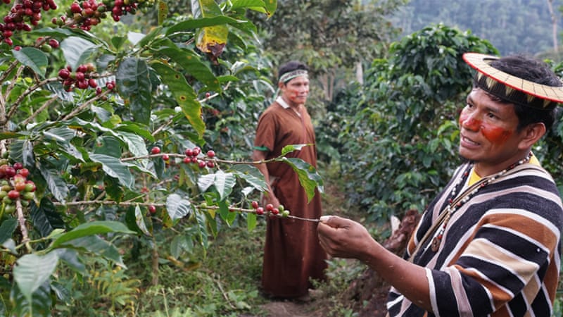 Chief Victor Pio of the Nuevo Amanecer Hawai Village, Peru