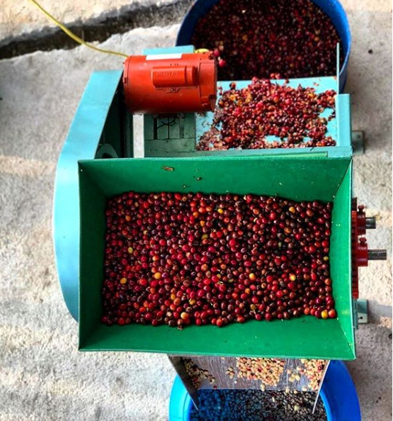 Pulping Machine Colombia