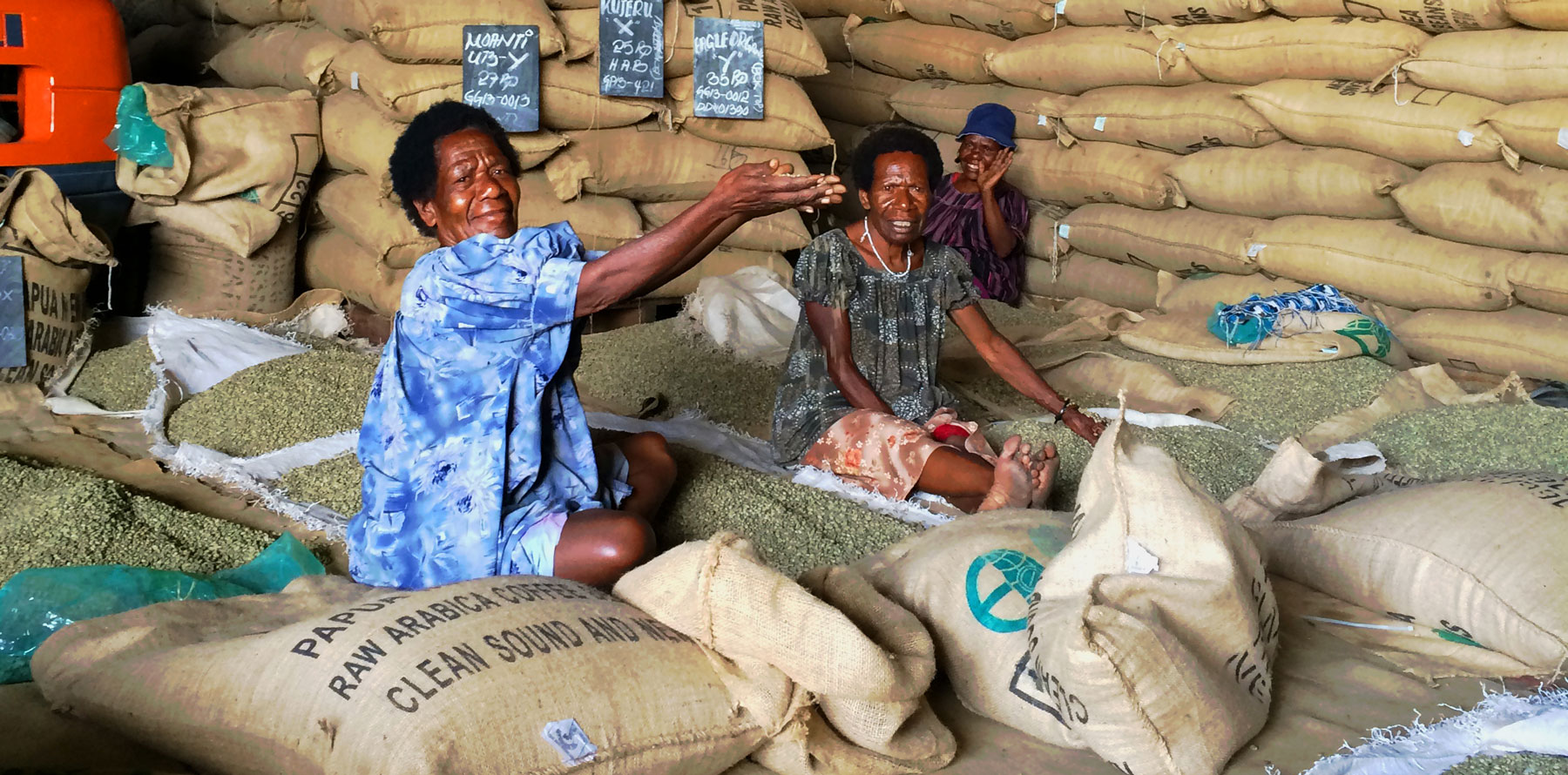 Green Bean Coffee Workers PNG