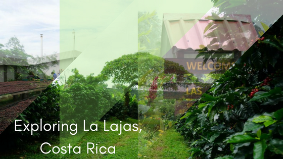 Costa Rica, La Lajas, Crema Trekkers
