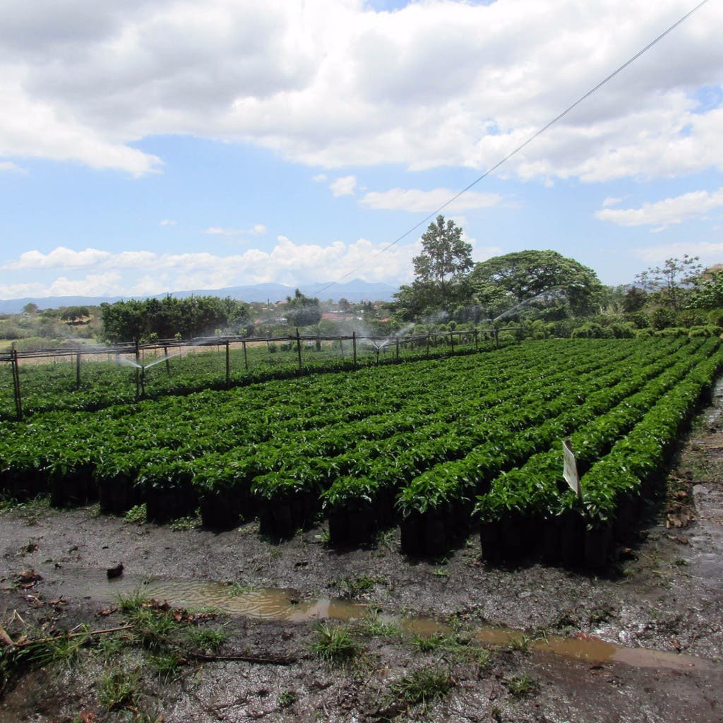 El Salvador La Providencia