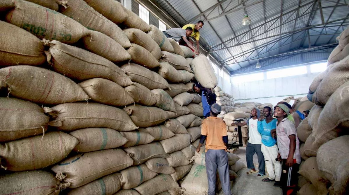 Wolichu Wachu Warehouse Workers; img by Other Brother Coffee