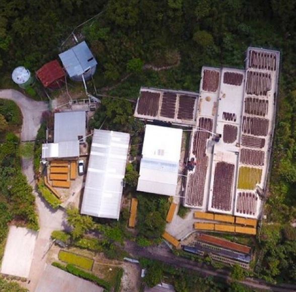 Finca Loma La Gloria in El Salvador