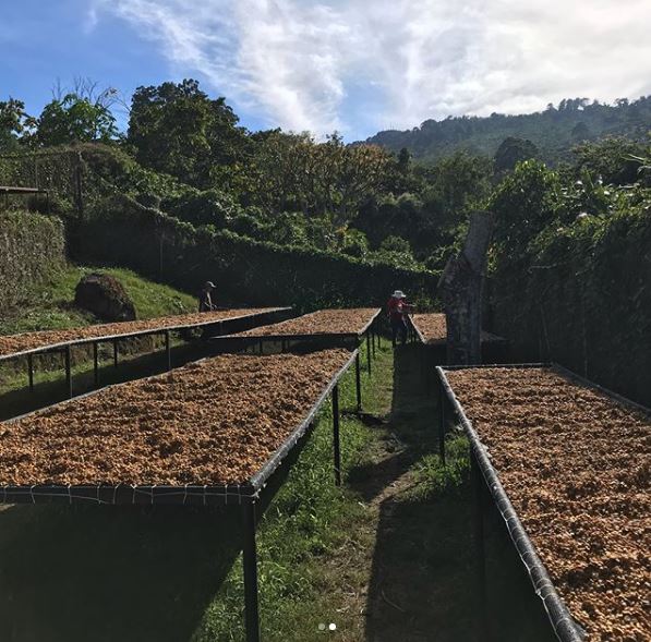 Finca Loma La Gloria in El Salvador