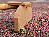 Mexico Kassandra Estate