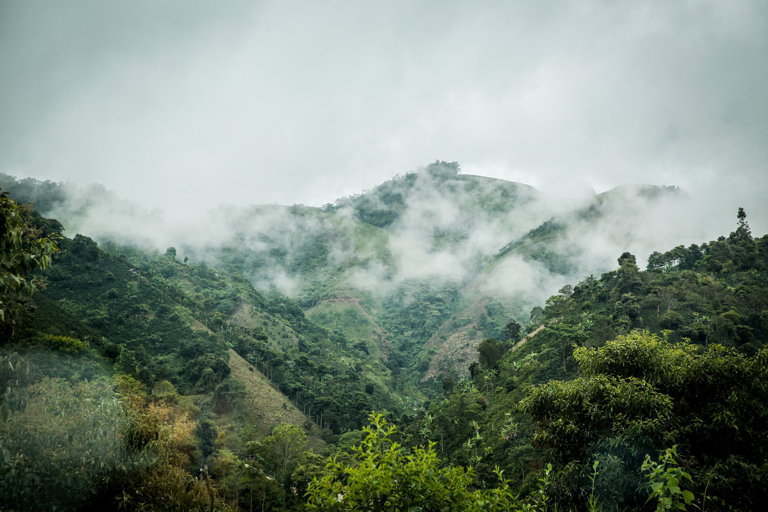 Colombia Landscape by Raw Materials Red Associations