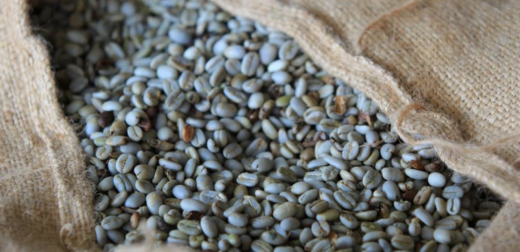 Indonesia Blue Bianca Giling Basah Green Beans