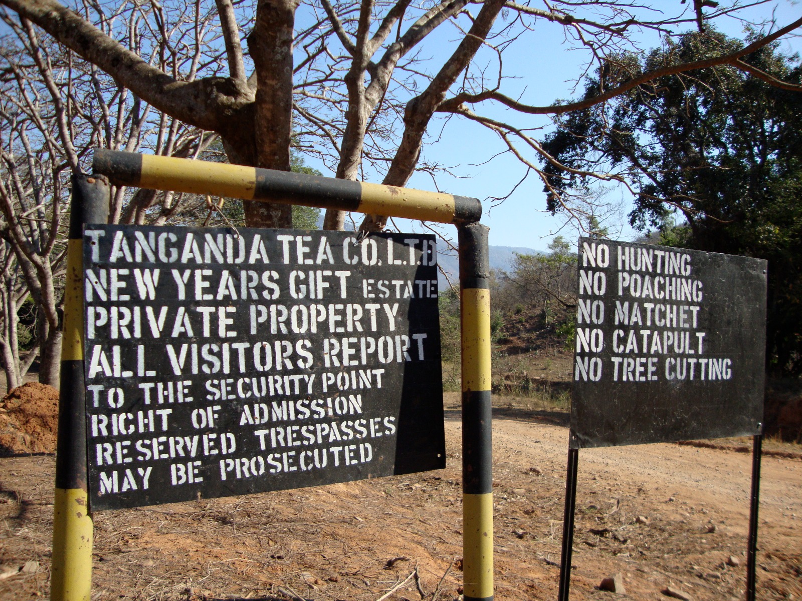 Zimbabwe New Years Gift Estate