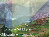 Mt Elgon Gibuzale A Uganda