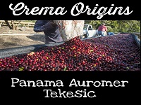 Panama Auromer Tekesic