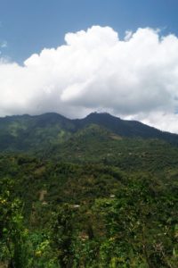 Guatemala Huehuetenango Todos Santos Single Origin Coffee