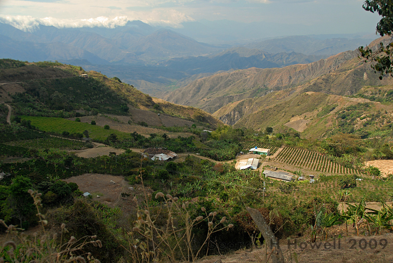 Colombia Taminango Narino Farmland, Coffee Farms