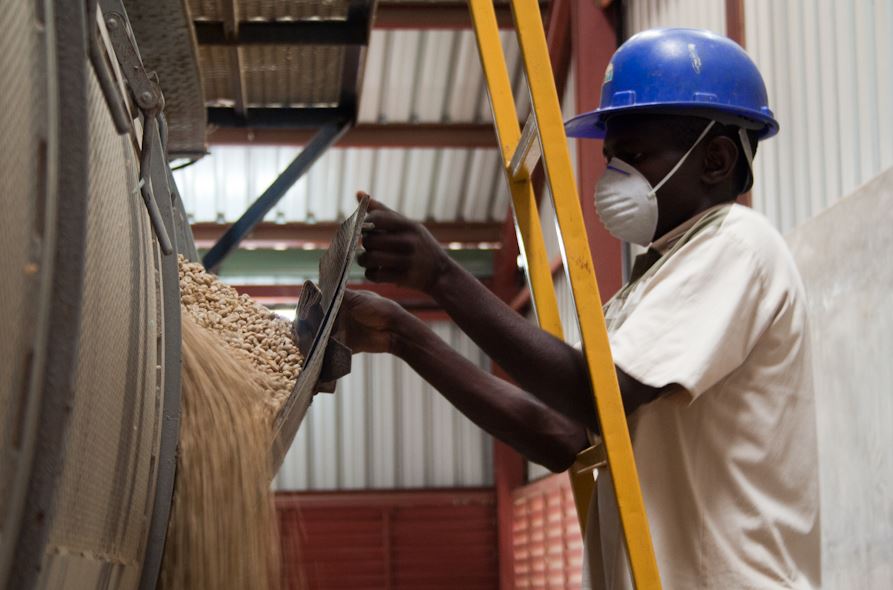 Mechanical Drying in Green Bean Processing Uganda