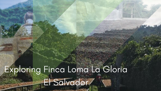 Finca Loma La Gloria in El Salvador