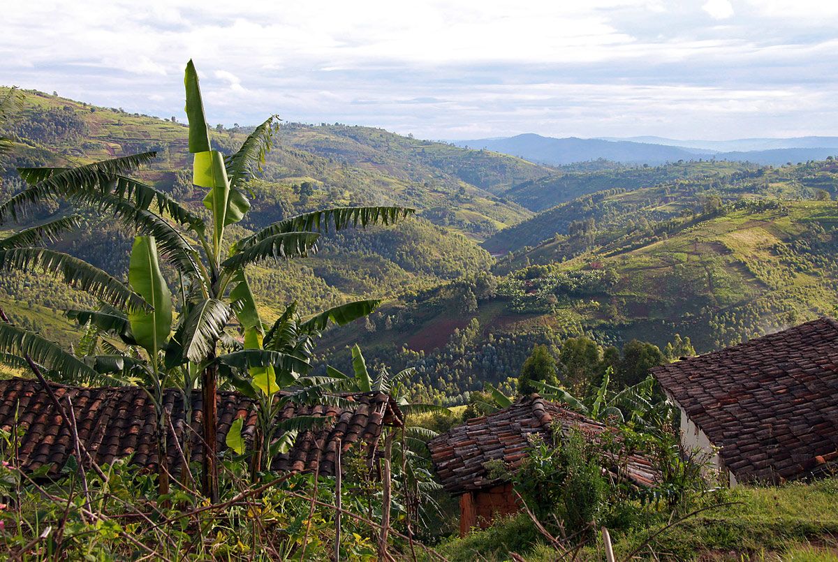 Burundi Coffee Single Origin