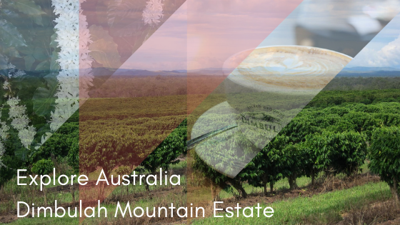 Crema Trekkers Explore Australia Dimbulah Mountain Estate