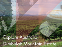 Crema Trekkers Explore Australian Dimbulah Mountain Estate