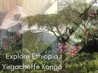 Crema Trekkers Explore Ethiopia Yirgacheffe Konga