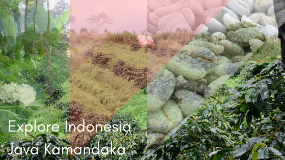 Crema Trekkers Explore Indonesia Java Kamandaka
