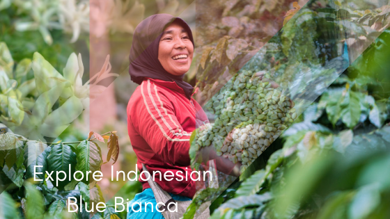 Crema Trekkers Explore Indonesia Blue Bianca