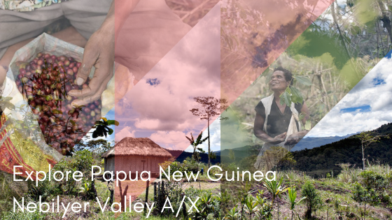 Papua New Guinea Nebilyer Valley