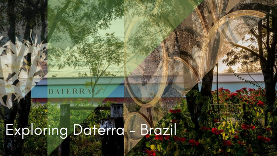 Crema Trekkers - Exploring Daterra Brazil