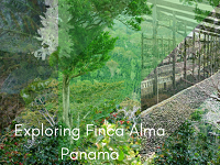 Crema Trekkers Exploring Finca Alma Panama