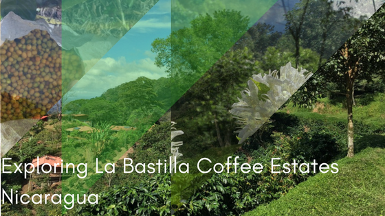 Crema Trekkers-Exploring La Bastilla Coffee Estates Nicaragua