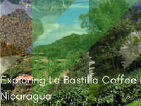 Crema Trekkers Explore La Bastilla Coffee Estates Nicaragua