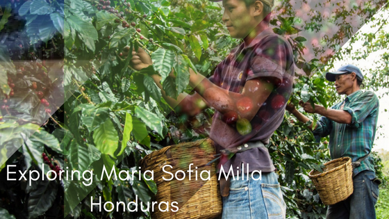 Crema Trekkers - Exploring Maria Sofia Milla Honduras