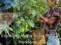 Crema Trekkers: Exploring Maria Sofia Milla Honduras