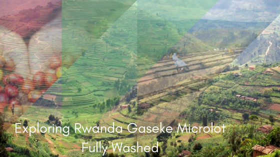 Exploring Rwanda Crema Trekkers